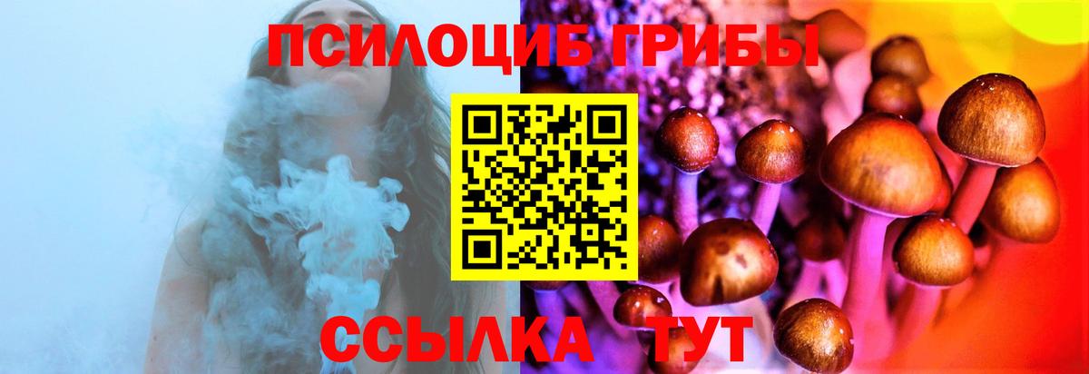 Галлюциногенные грибы Psilocybine cubensis Миллерово